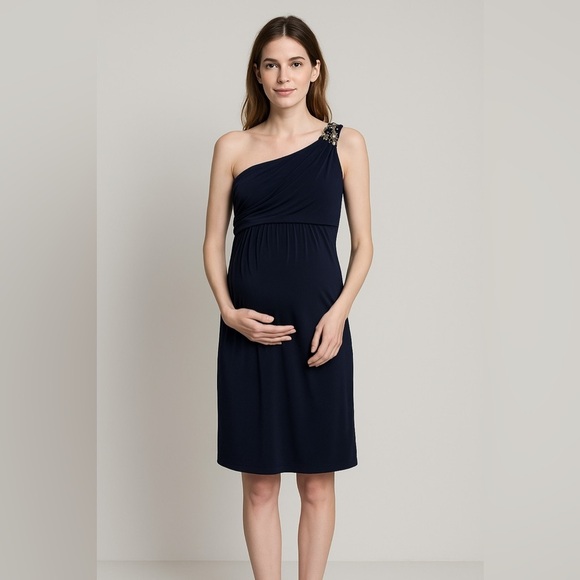 Rosie Pope for a Pea in the Pod Maternity Navy Blue Short Dress Size S - Picture 1 of 14
